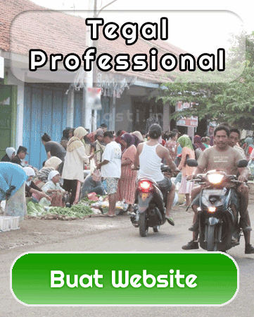 Jasa Pembuatan Website Tegal Professional